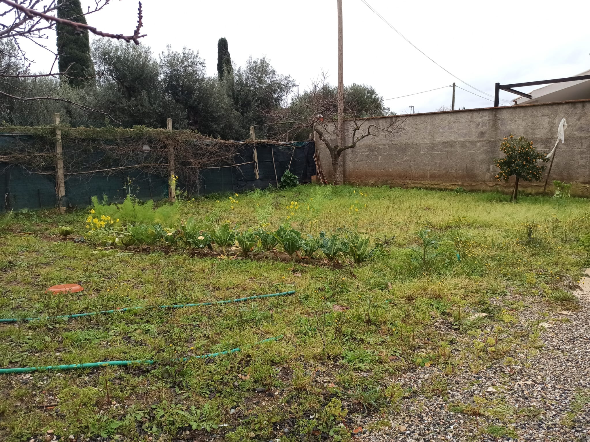 Cecina – Appartamento ingresso indipendente e ampio giardino